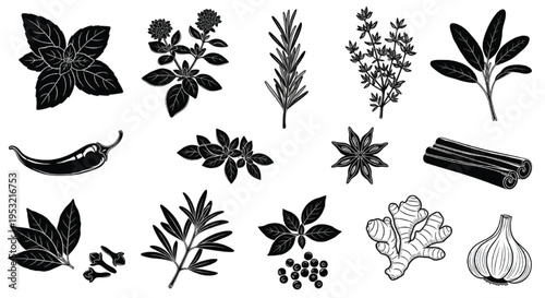 Herb and Spice Silhouette Set, Culinary Botanical Leaves Seasoning Elements Black Vector Collection