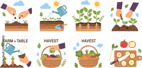 Farm to Table Gardening and Harvest Icons Set with Planting, Watering, Growing Vegetables, Organic Farming, and Fresh Produce Collection in Flat Vector Style