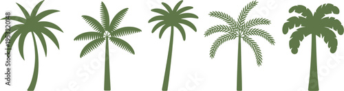 Five different green palm tree silhouettes on a white background tropical nature