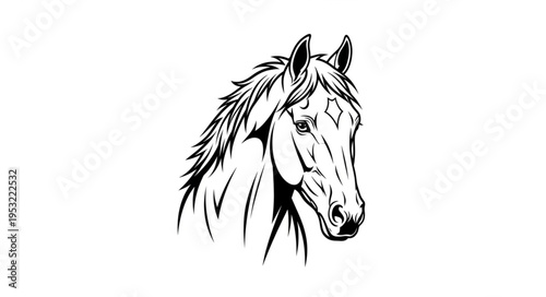 Detailed Line Art Illustration of a Majestic Horse Head.