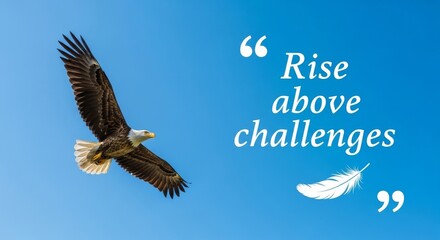 Bald Eagle Soaring High in Blue Sky
