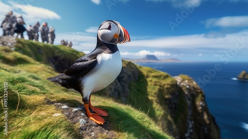 Vibrant Atlantic Puffin Standing on a Green Cliff Edge by the Sea