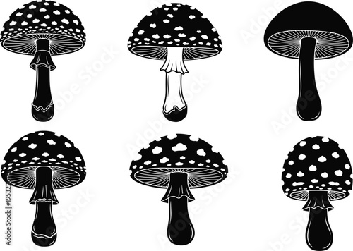 Set of mushroom silhouettes with spotted caps in botanical illustration style, wild toadstool fungus collection isolated on white background for design