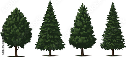 Set of realistic evergreen and leafy trees isolated on white background, natural forest plant collection for landscape design illustration