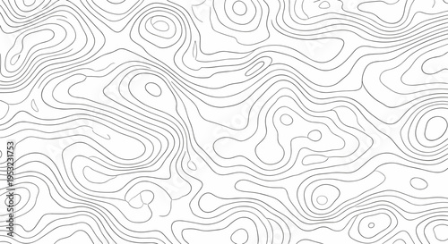 A minimalist topographic vector graphic with wavy lines and contours on a white background