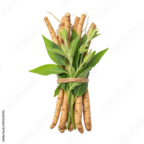 gnarled light brown ashwagandha roots and fresh green leaves, detailed macro flat lay, perfectly isolated on a solid white studio background, natural wellness and herbal medicine concept