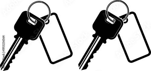 Two Metal Keys on a Key Ring with Blank Tag Identifiers, Representing Security, Access, Property Ownership, Vehicle Entry, and House or Home Management