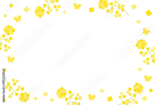 vector background with yellow canola flowers frame