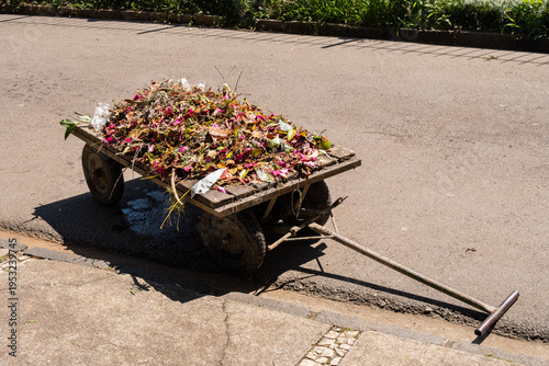 Fotografie Curitiba, Brasil - Hojas secas en el carrito de la basura.