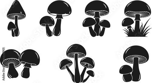 Various black silhouette mushroom vector icons, illustrating edible and poisonous fungi, representing autumn harvest, botanical foraging, forest nature, and organic food symbols isolated on white.