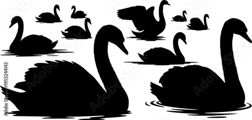 black swans vector illustration