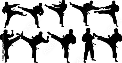 vector silhouettes of martial arts players