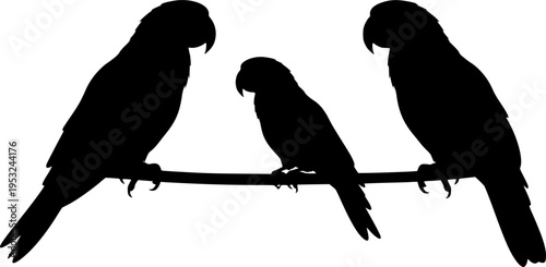 silhouettes of parrots
