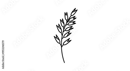 Minimalist line drawing of a single oat stalk with seeds, isolated on white background.