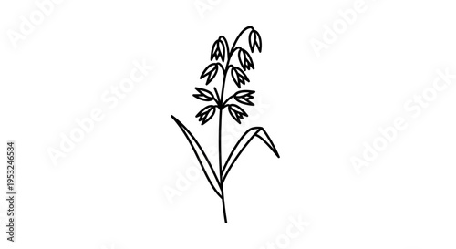 Minimalist line drawing of an oat stalk with grains and leaves on a white background