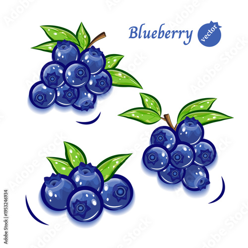 フレッシュなブルーベリーのイラスト｜ポップアートな可愛らしい果物のベクター素材