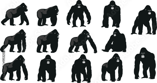 Gorilla silhouette vector set, silverback primate collection in different poses, wild monkey animal icons for nature and wilderness design, apes.