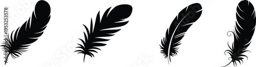 Black feather silhouettes set, elegant bird plume collection, isolated vector illustration, decorative quill elements, minimal design, nature inspired graphic for branding and artwork