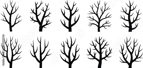 Ten Black Silhouettes of Bare Tree Branches on a White Background winter