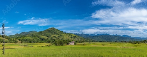 a large green rice field background, high-definition photography, high resolu...