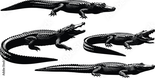 Detailed black and white vector silhouette set of alligators and crocodiles in various crawling and mouth open poses isolated on a white background.