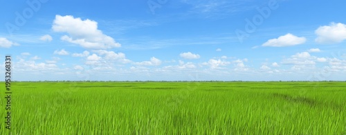 a large green rice field serves as the background, with dense and uniform gra...