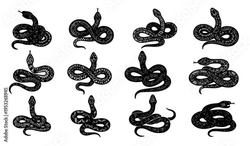Intricate snake silhouette vector set with mandala tribal doodle patterns in coiled and slithering poses isolated on white