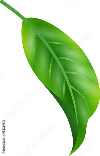 Green Leaf Isolated PNG Decorative Nature