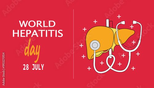 World hepatitis day 28 july awareness concept design. Liver symbol with stethoscope and cross symbol on red background, vector design