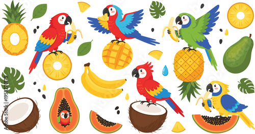 Tropical parrots and exotic fruits illustration set with pineapple banana coconut papaya mango and colorful jungle bird characters collection