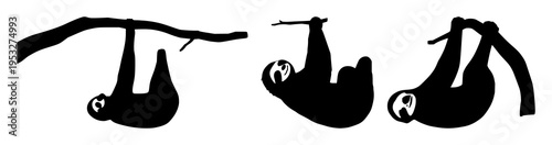 Hanging sloth silhouette set with a stylized tree branch composition featuring sloth, silhouette, single line art with black and white and minimalism