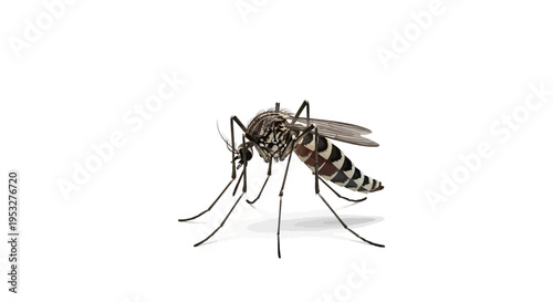 Mosquito in crosshairs a visual representation of pest control and disease prevention efforts