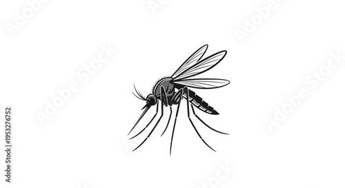 Black and white illustration of a mosquito, a common biting insect and significant disease vector, representing outdoor nuisance and public health concern for pest control