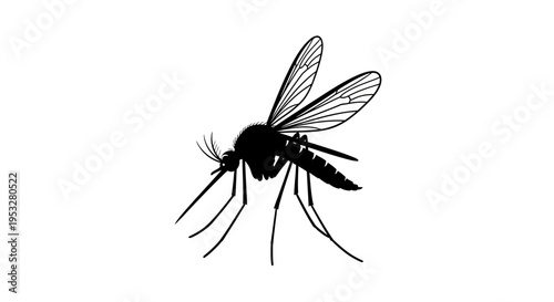 Stylized black silhouette illustration of a mosquito, highlighting its delicate wings and long legs, isolated on a clean white background, depicting a common flying insect