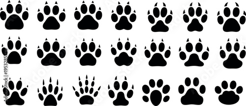 Collection of various animal paw prints