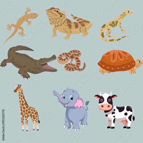 Photography set of wild animals