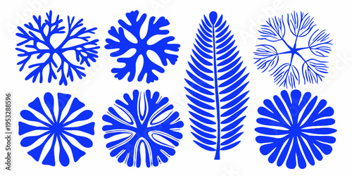 Blue botanical illustrations of various leaf and fern shapes