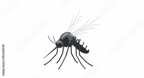 Detailed vector illustration of a common mosquito, a flying insect known for its delicate structure and presence in various ecosystems, rendered in a clean, monochromatic graphic style