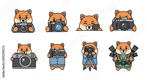 Cartoon fox photographer posing with various cameras and equipment