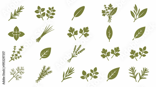 Illustration of various green herbs displayed in neat rows with diverse leaf shapes