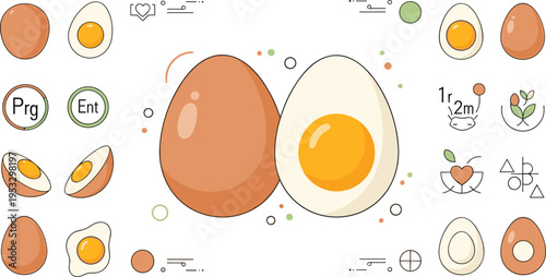 Egg types and cooking styles illustration set with whole eggs, yolk variations and breakfast elements, modern food infographic vector design
