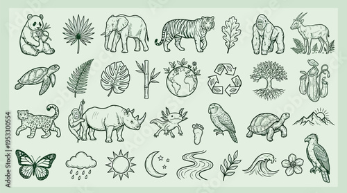 A collection of hand-drawn illustrations depicting various elements of nature, including diverse animals, plants, and environmental symbols, presented in a monochromatic green palette.