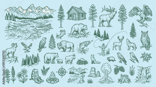 Quadro su tela Hand-drawn vintage-style illustrations depicting various elements of wilderness, forest animals, trees, mountains, and outdoor activities