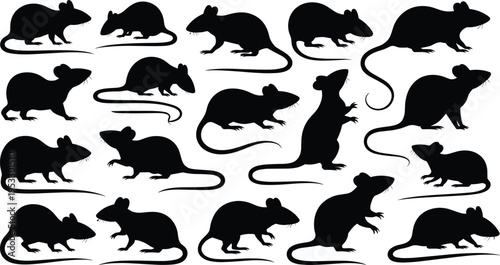 Rat silhouettes collection, black rodents in various poses vector illustration, pest animal clipart set isolated on white background for design and wildlife elements