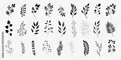 Collection of hand drawn botanical illustrations featuring various leaf shapes