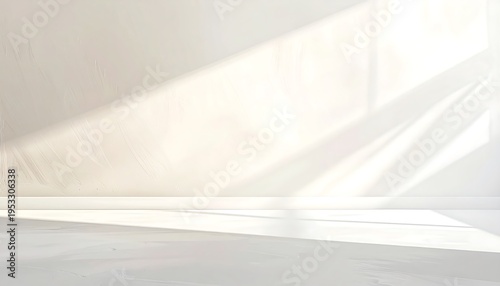 An empty minimalist room featuring a white wall with textures and a floor lit by sunlight streaming through a window