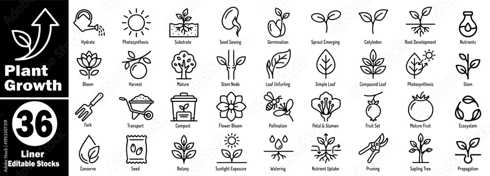 Obraz premium Plant growth cycle line art icons set. Representing germination to mature plant stages, including watering, sunlight, and harvesting, isolated vector illustration.