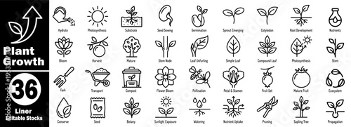 Plant growth cycle line art icons set. Representing germination to mature plant stages, including watering, sunlight, and harvesting, isolated vector illustration.