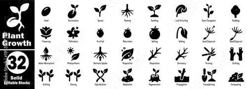 Plant growth solid icons set. Showing seed germination, seedling root system, leaf, stem, bud, flower, fruit, pollination maturity, wilting, dispersal vector illustration.