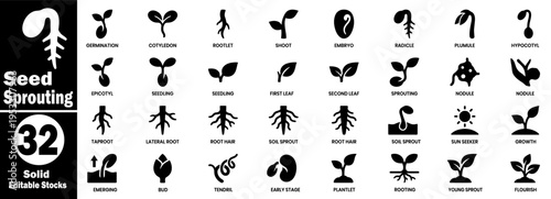 Seed sprouting icons set. Featuring germination, cotyledon, rootlet, shoot, embryo, radicle, plumule, hypocotyl, epicotyl, seedling, nodule vector illustration.